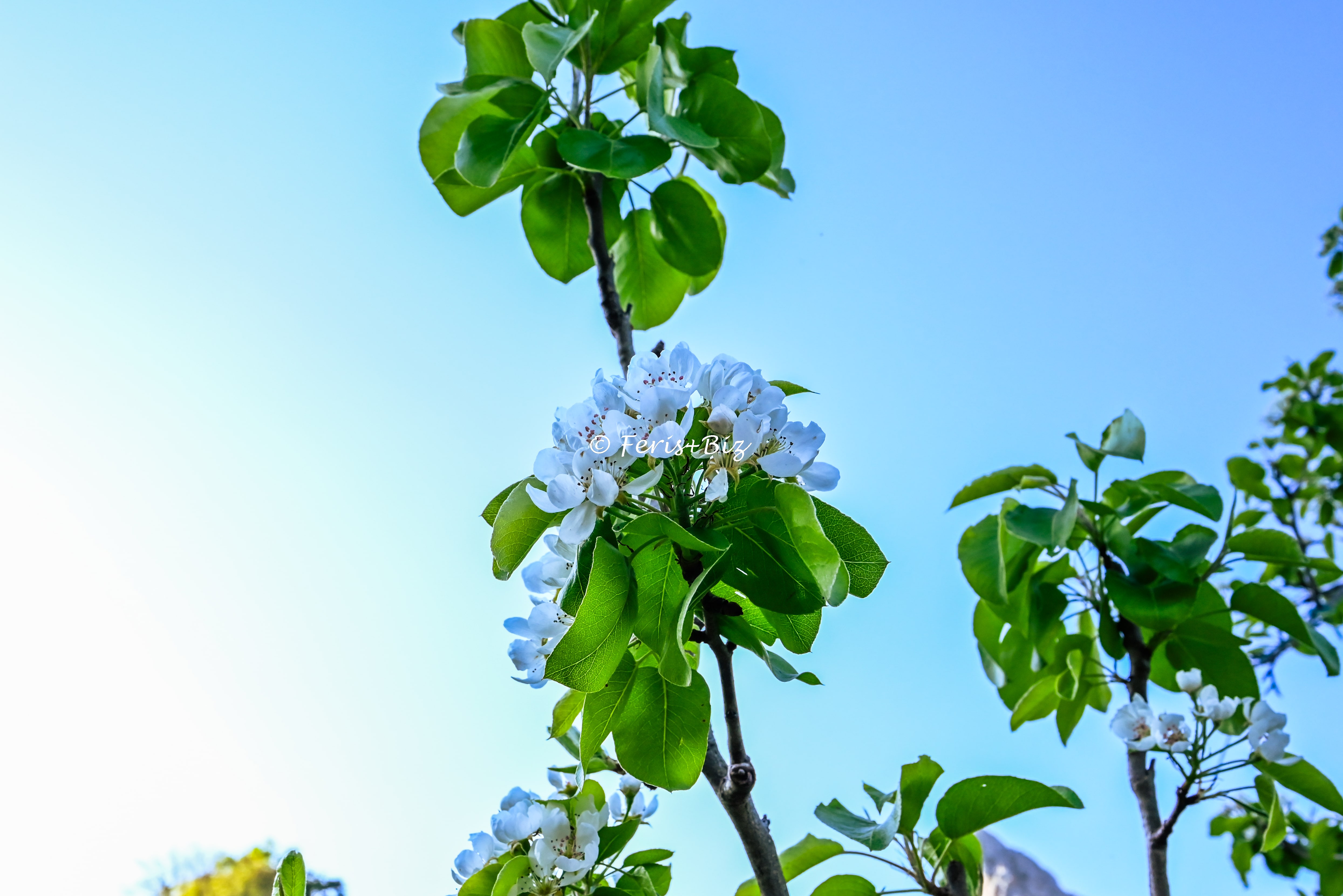 Transforma Dudas en Razones para Actuar